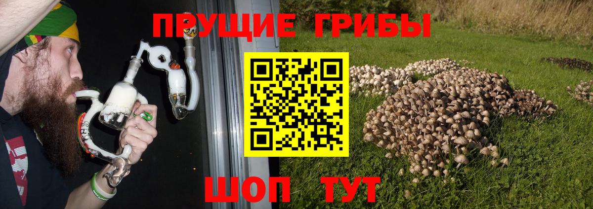 Псилоцибиновые грибы Magic Shrooms  Галлюциногенные грибы ЛСД  Сыктывкар  Вход с VPN 